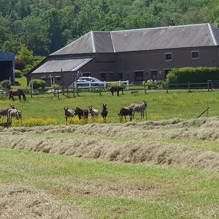 Saint-Hilaire-sur-Helpe Les Mout'Anes B&B 외부 사진