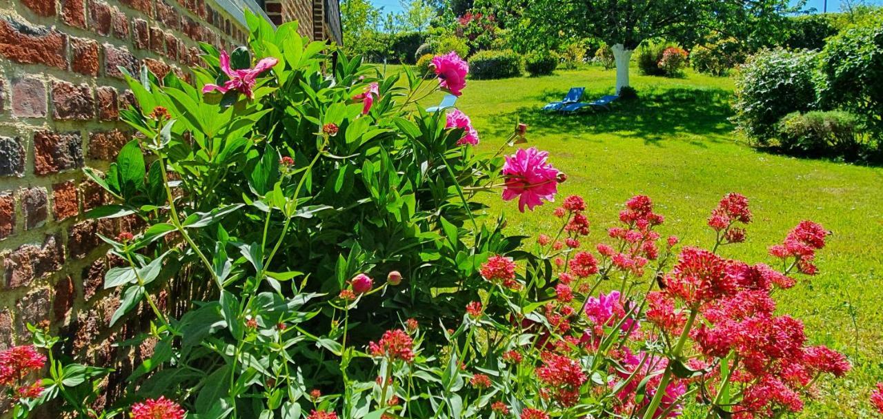 Saint-Hilaire-sur-Helpe Les Mout'Anes B&B 외부 사진