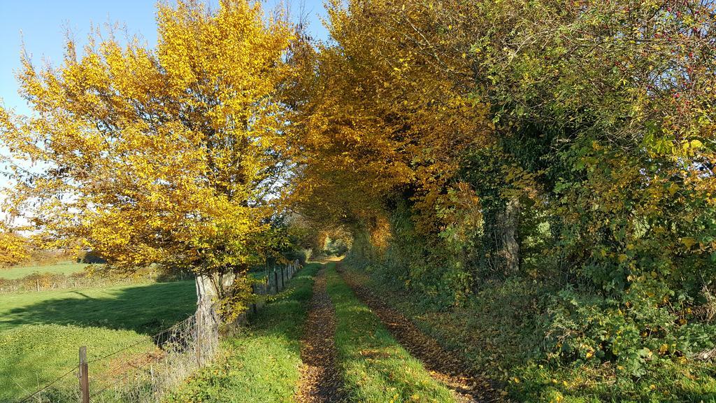 Saint-Hilaire-sur-Helpe Les Mout'Anes B&B 외부 사진