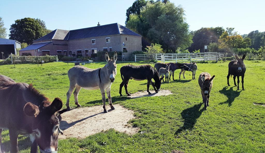 Saint-Hilaire-sur-Helpe Les Mout'Anes B&B 외부 사진