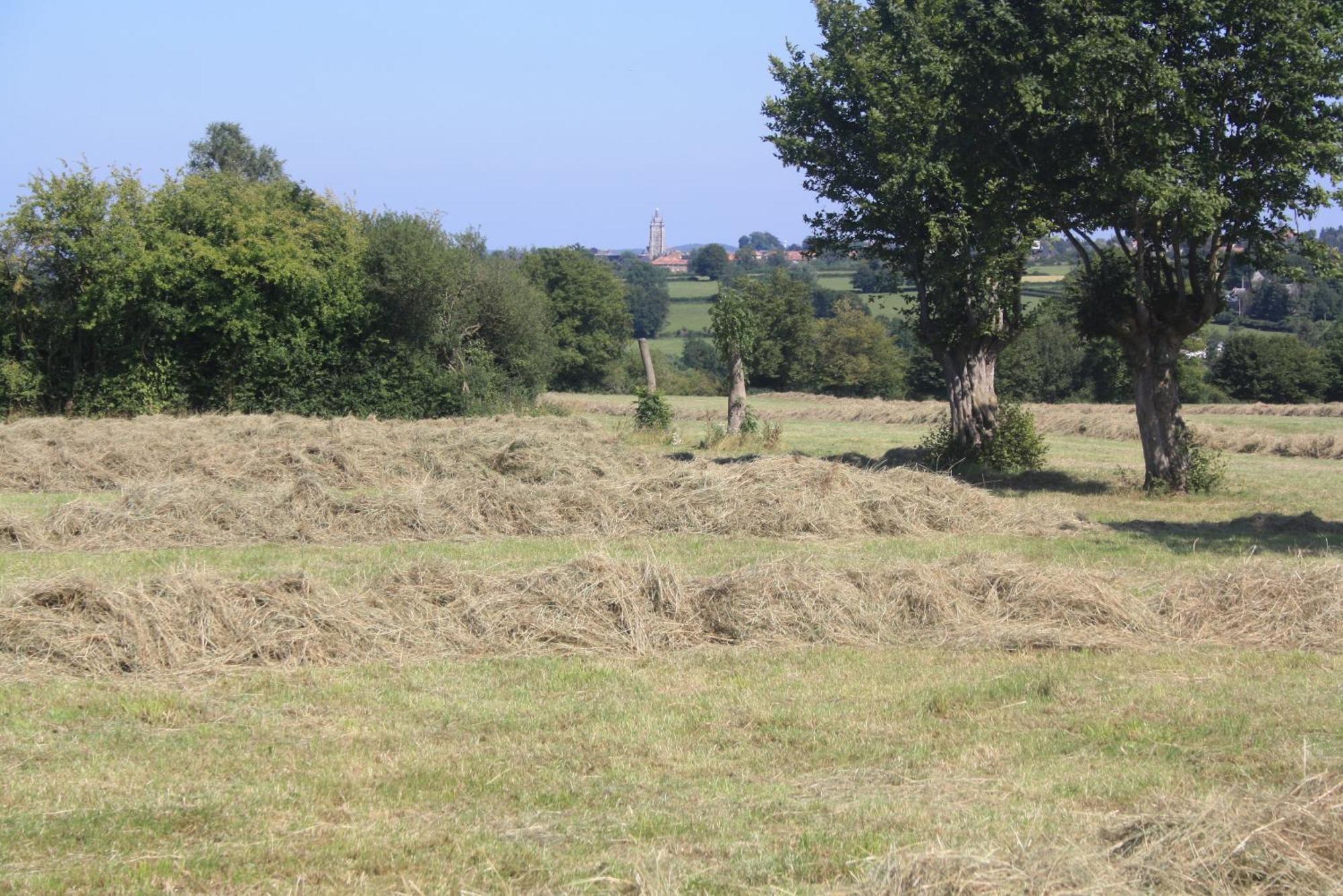 Saint-Hilaire-sur-Helpe Les Mout'Anes B&B 외부 사진