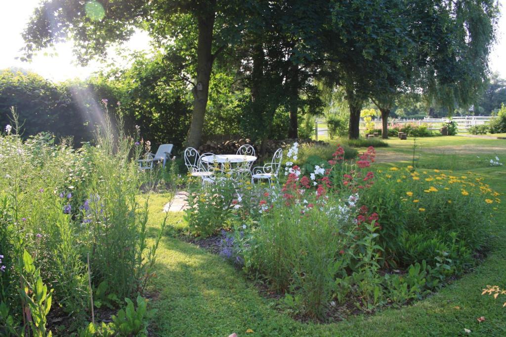 Saint-Hilaire-sur-Helpe Les Mout'Anes B&B 외부 사진