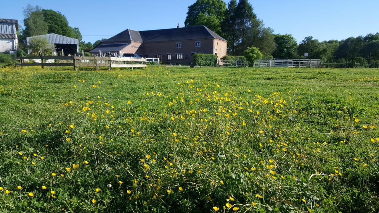 Saint-Hilaire-sur-Helpe Les Mout'Anes B&B 외부 사진