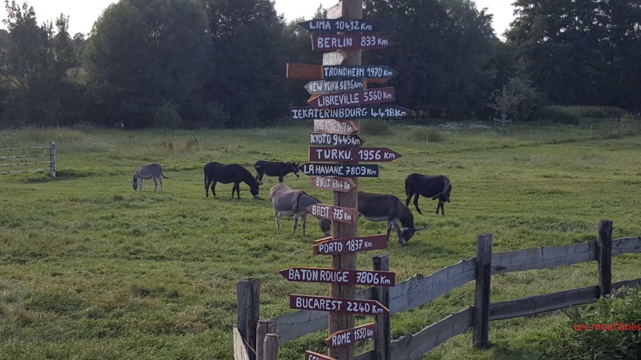 Saint-Hilaire-sur-Helpe Les Mout'Anes B&B 외부 사진