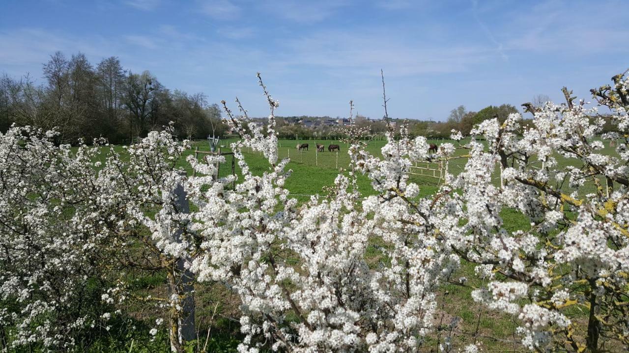 Saint-Hilaire-sur-Helpe Les Mout'Anes B&B 외부 사진
